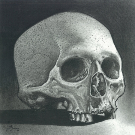 7'x7'_Skull_Study_Charcoal